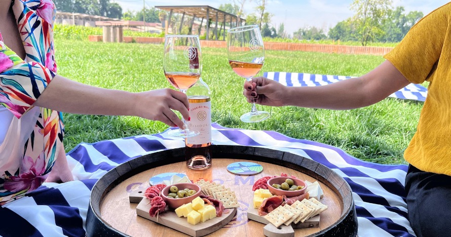 Viñedos en flor: una experiencia de enoturismo en Santiago