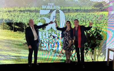 Viña VIK, la mejor viña del mundo en The World’s 50 Best Vineyards 2025