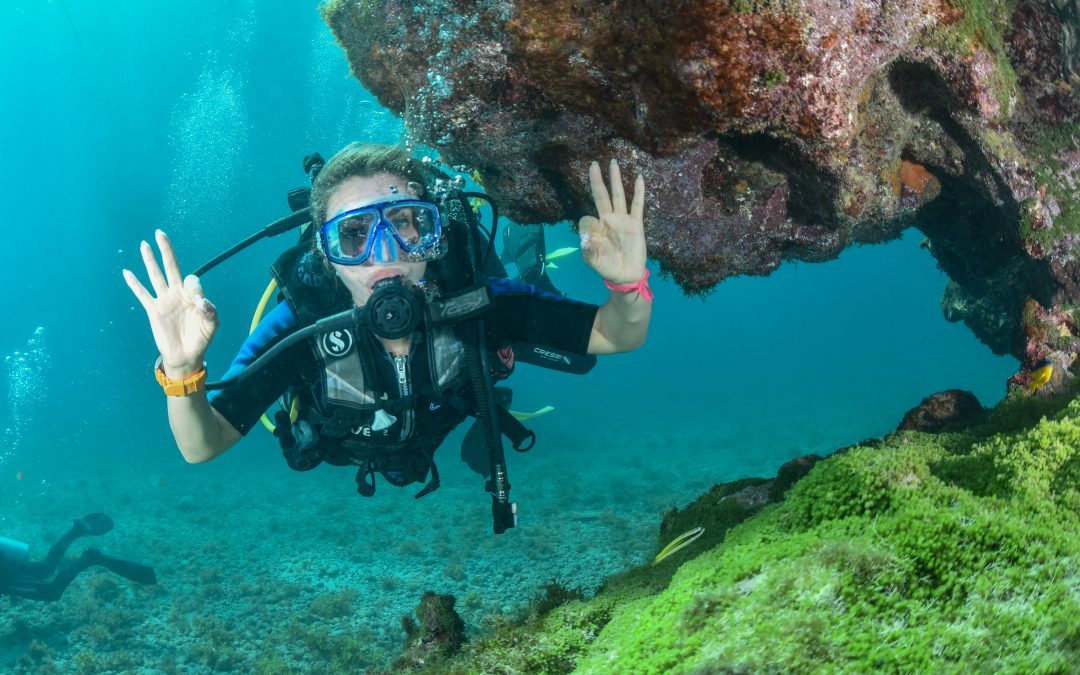 Los imperdibles de Brasil para el verano 2026 de Dani Urrizola