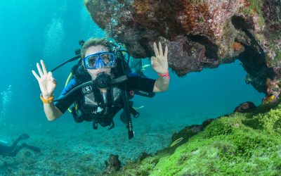 Los imperdibles de Brasil para el verano 2026 de Dani Urrizola